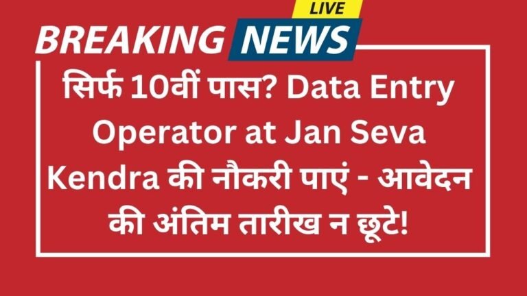 Data Entry Operator at Jan Seva Kendra